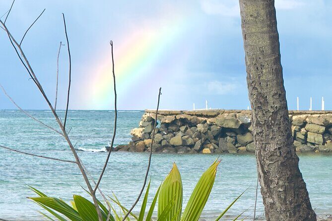 El Yunque Hike, Waterslide & Luquillo Kiosks Food with Transport - Who Is This Tour Best For?