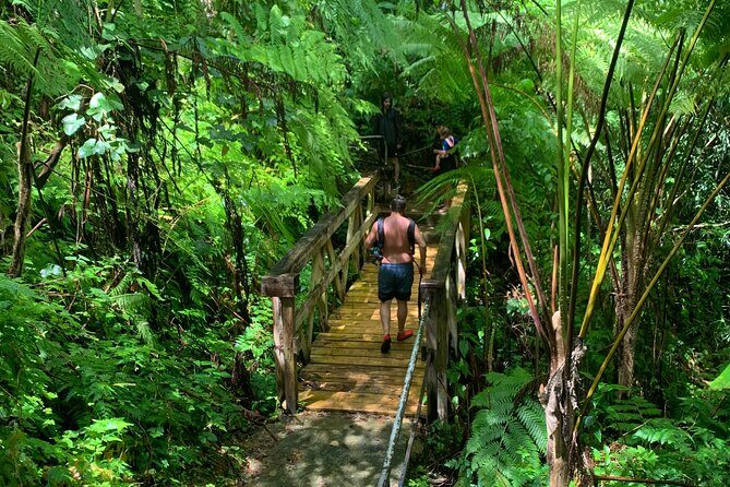 El Yunque National Forest and Luquillo Beach Tour - Key Points