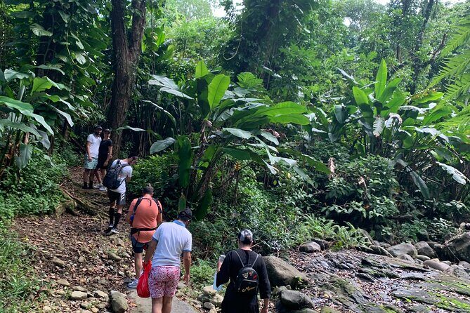 El Yunque National Forest and Luquillo Beach Tour - A Closer Look at the Tour Itinerary