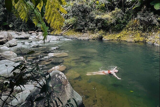 El Yunque National Forest Guided Tour with Transport - An In-Depth Look at the Tour Experience