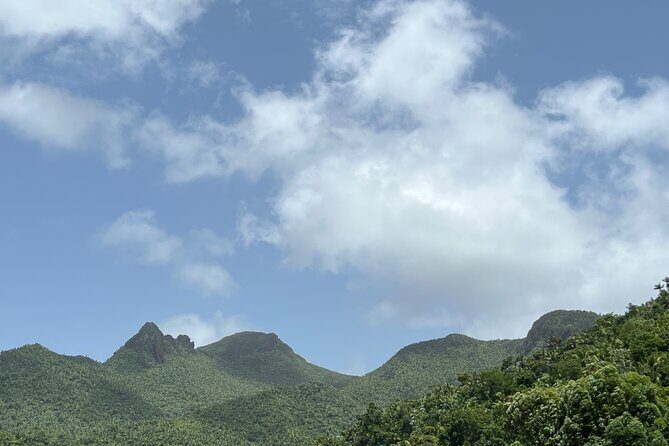 El Yunque National Forest Guided Tour with Transport - Practical Tips for Future Travelers