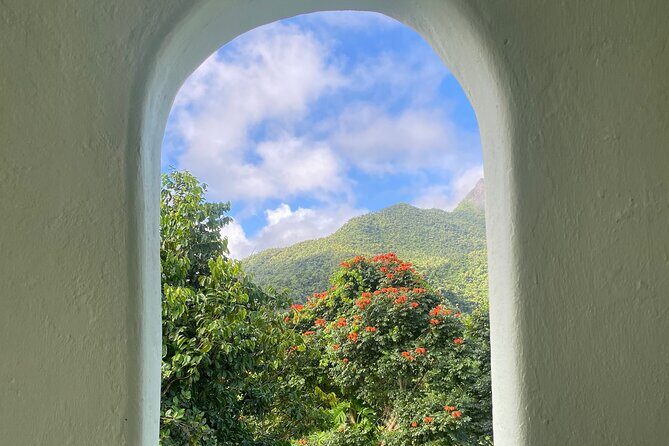 El Yunque National Forest Guided Tour with Transport - Who Will Love This Tour?