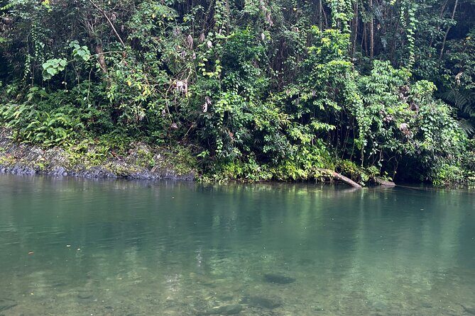 El Yunque National Forest Guided Tour with Transport - FAQ
