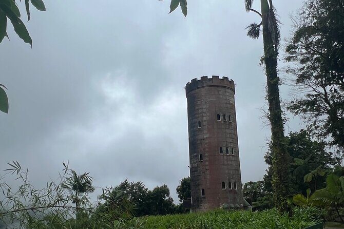 El Yunque National Forest Guided Tour with Transport - Final Thoughts