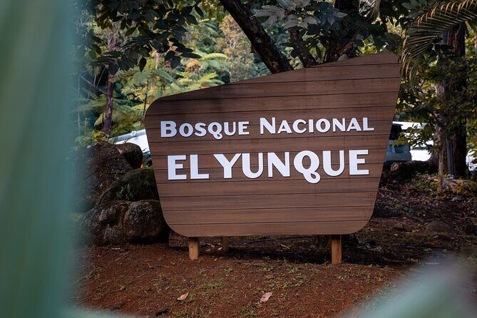 El Yunque Rainforest EZ-going Bus Tour (wheelchair accessible) - An Accessible Gateway to El Yunque