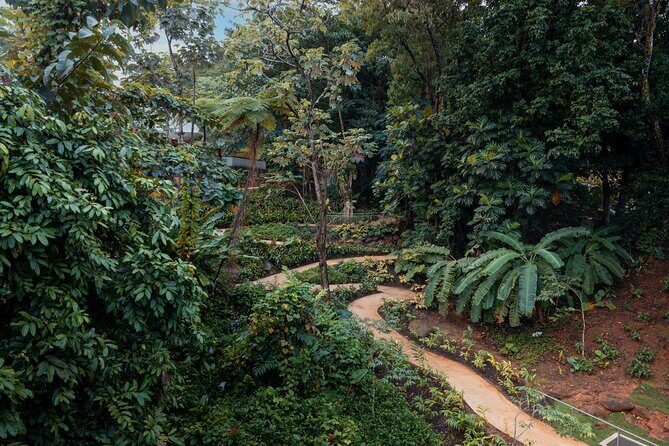 El Yunque Rainforest EZ-going Bus Tour (wheelchair accessible) - The Itinerary Breakdown: What You’ll Experience