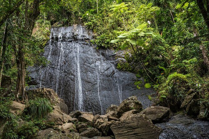 El Yunque Rainforest EZ-going Bus Tour (wheelchair accessible) - Who Will Enjoy This Experience?