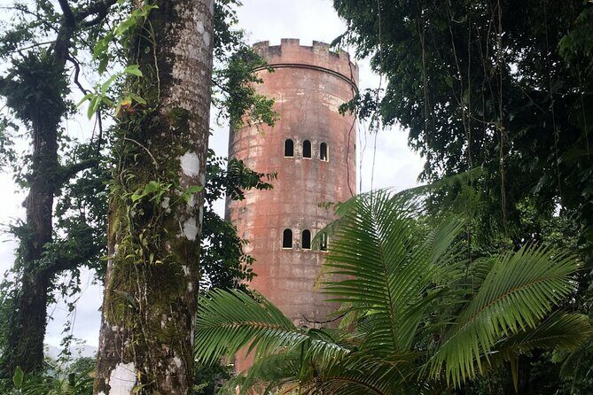 El Yunque Rainforest EZ-going Bus Tour (wheelchair accessible) - Frequently Asked Questions