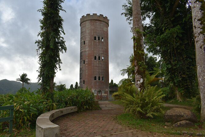 El Yunque Rainforest Guided Day Tour from San Juan - Key Points
