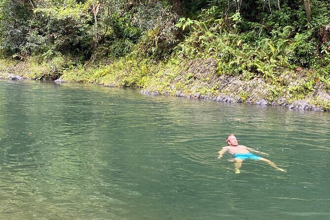El Yunque Rainforest Guided Day Tour from San Juan - The Tour Experience in Detail