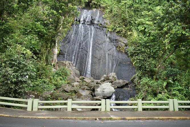 El Yunque Rainforest Guided Day Tour from San Juan - Who Should Book This Tour?