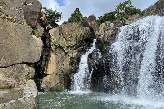 El Yunque Rainforest Hike and Luquillo Beach Tour - Pricing and Value