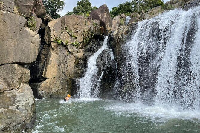 El Yunque Rainforest Hike and Luquillo Beach Tour - Practical Tips for Your Day