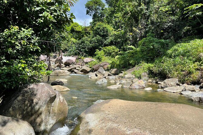 El Yunque Rainforest Hike and Luquillo Beach Tour - The Sum Up