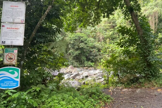 El Yunque Rainforest Hike with Transport from San Juan - FAQs