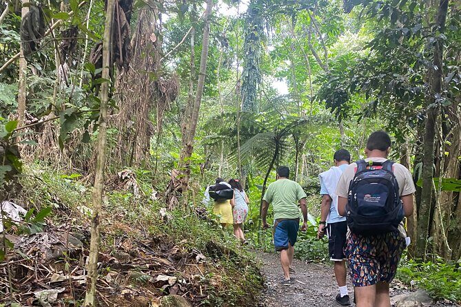El Yunque Rainforest Hiking Tour from San Juan - The Waterfalls and Trails: A Balance of Views and Relaxation