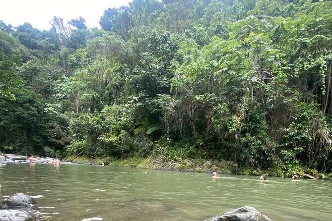 El Yunque Rainforest Hiking Tour from San Juan - Swimming and Wildlife: Enjoyable, Depends on Weather
