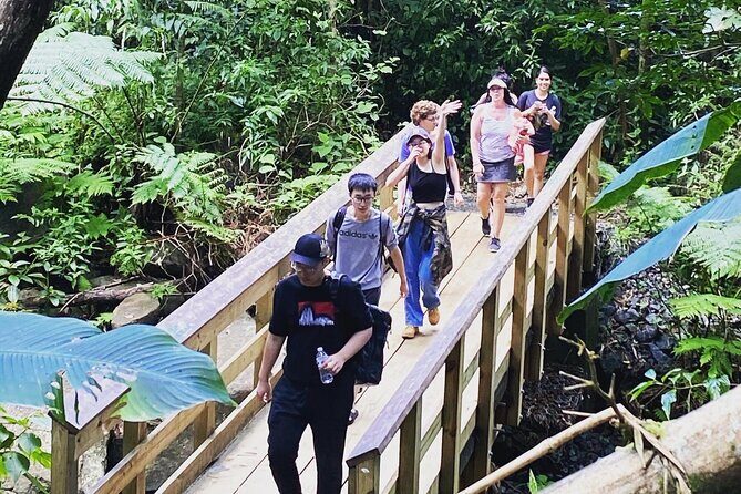 El Yunque Rainforest Hiking Tour from San Juan - The Value for Money