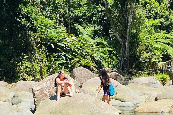 El Yunque Rainforest Hiking Tour from San Juan - Practical Tips for Participants