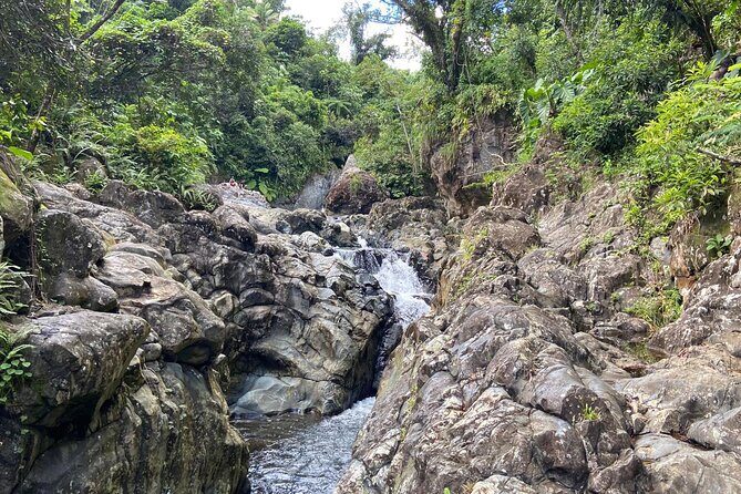 El Yunque Rainforest Morning River and Hike Adventure - Discovering El Yunque’s Hidden Gems