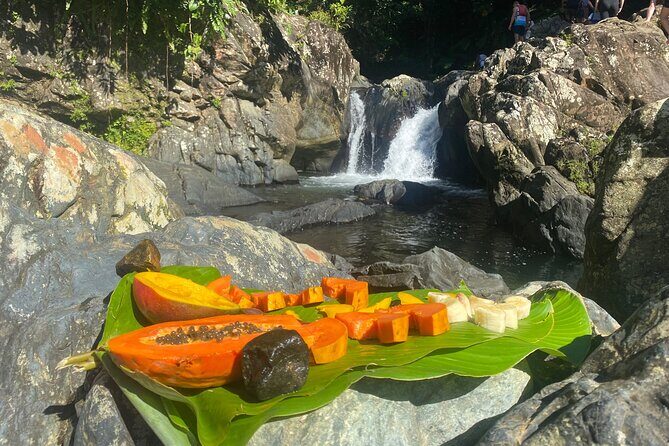 El Yunque Rainforest Morning River and Hike Adventure - What Past Travelers Say