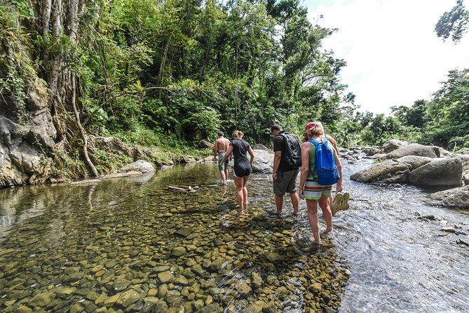 El Yunque Rainforest Tour from Fajardo - A Deep Dive into the Tour Experience