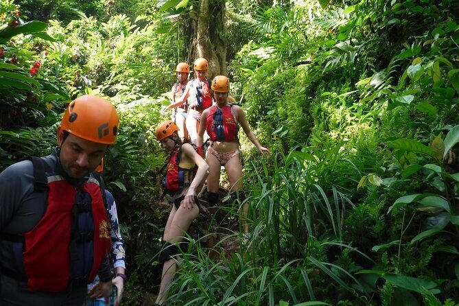 El Yunque Rainforest Tour: Natural Waterslides Adventure - Key Points