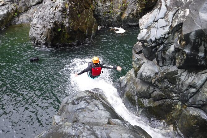 El Yunque Rainforest Tour: Natural Waterslides Adventure - The Value for Money