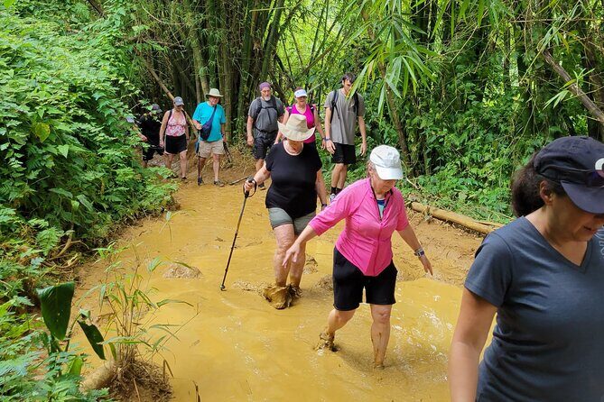 El Yunque Rainforest - Waterslide, Cliff jump, and Rope swing! - The Sum Up: Who Is This Tour Best For?