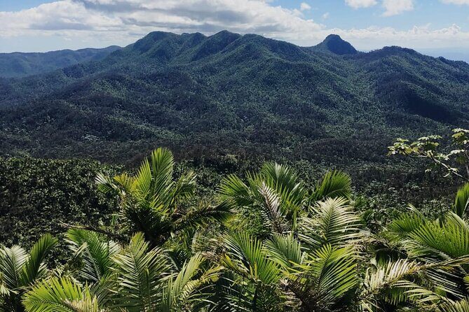 El Yunque Rainforest Waterslides and Luquillo Beach w/ Transport - Key Points