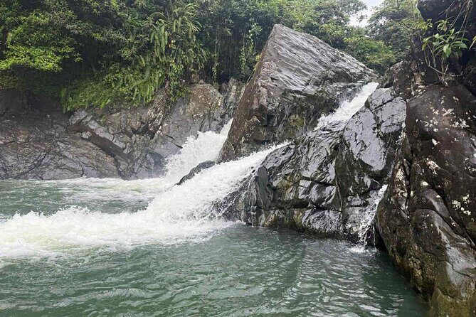 El Yunque Waterslides, Jumps, swing! small business owner:) - Key Points