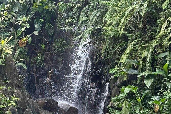 El Yunque Waterslides, Jumps, swing! small business owner:) - FAQs