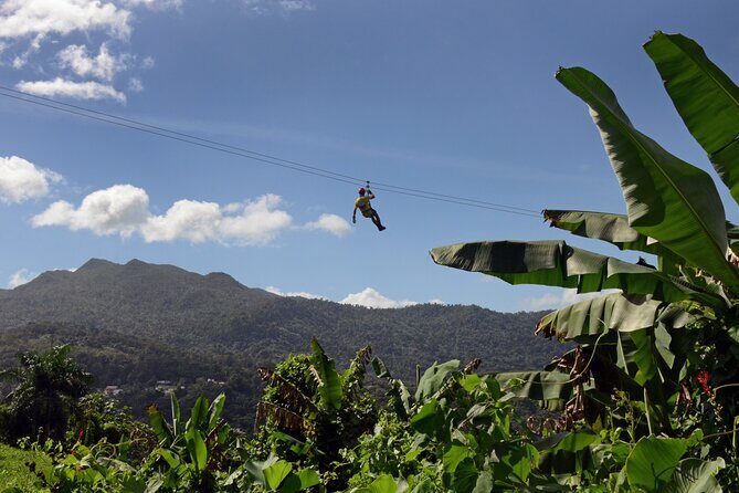 El Yunque Ziplining in Puerto Rico - Introduction