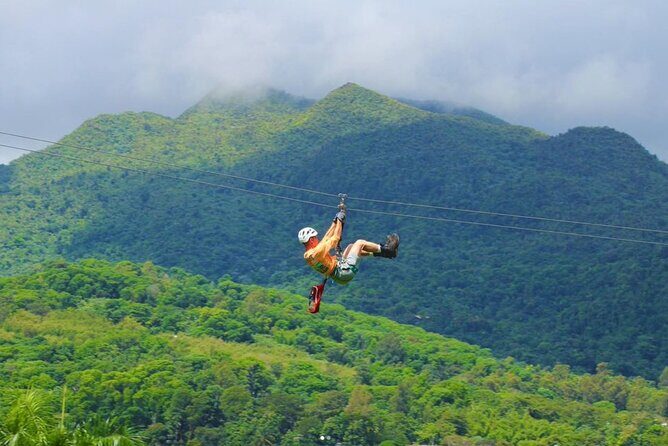 El Yunque Ziplining in Puerto Rico - A Detailed Look at the Tour