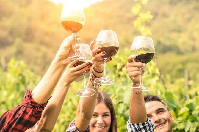 Elderton Chocolate And Wine Matching - The Itinerary in Detail