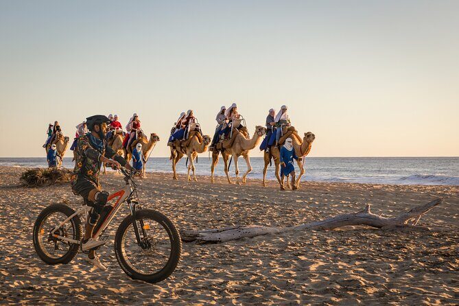 Electric Bike and Beach Camel Ride with Mexican Buffet Lunch - Key Points: