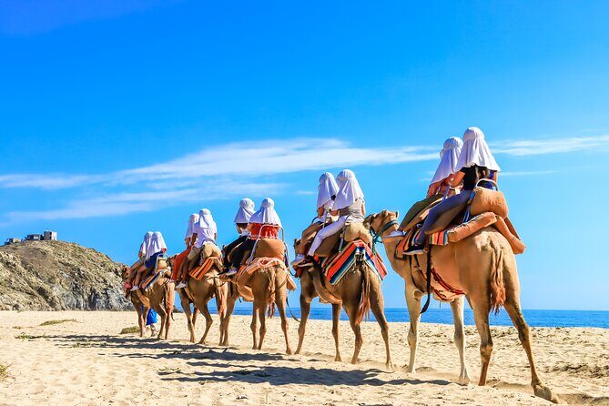 Electric Bike and Beach Camel Ride with Mexican Buffet Lunch - The Sum Up: Who Should Consider This Tour?