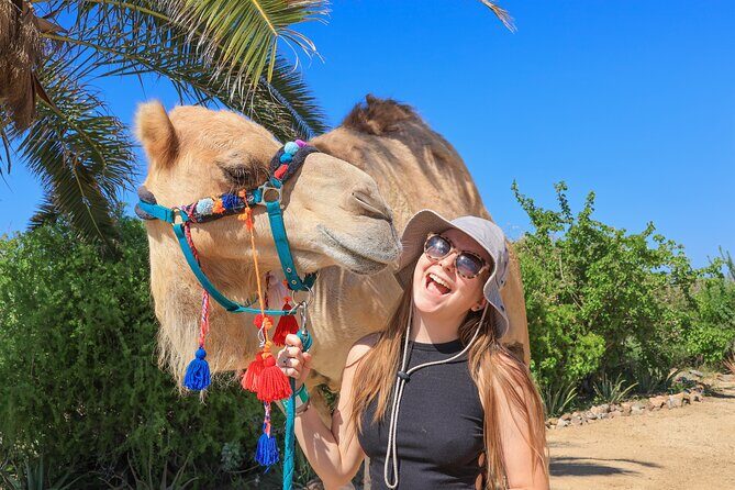 Electric Bike and Beach Camel Ride with Mexican Buffet Lunch - FAQ