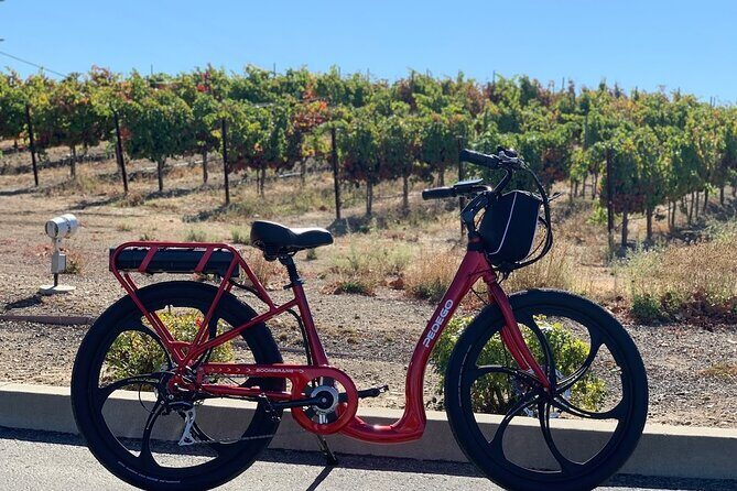 Electric Bike Rental in Livermore - Discovering Livermore on Electric Wheels