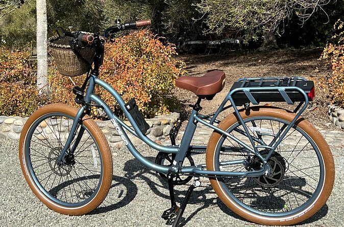 Electric Bike Rental in Livermore - Practical Details and Booking