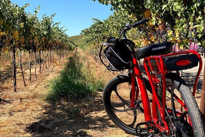 Electric Bike Rental in Livermore - Cancellation and Weather Considerations