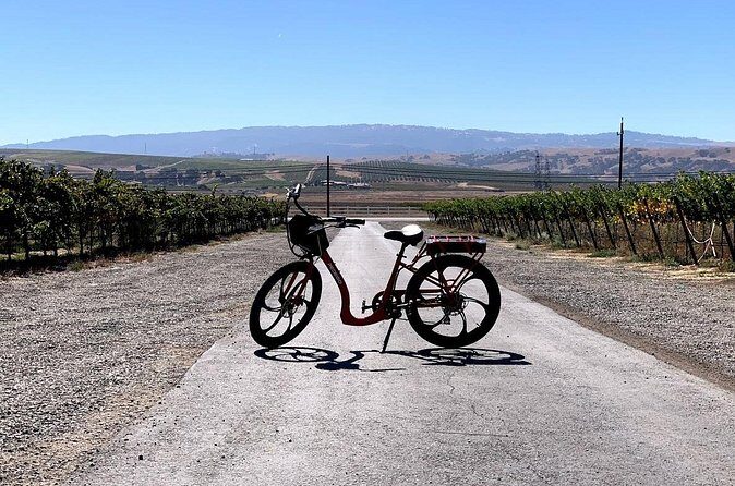 Electric Bike Rental in Livermore - Who Will Love This?
