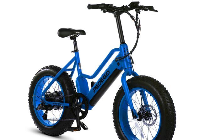 Electric Bike Rentals - The Sum Up