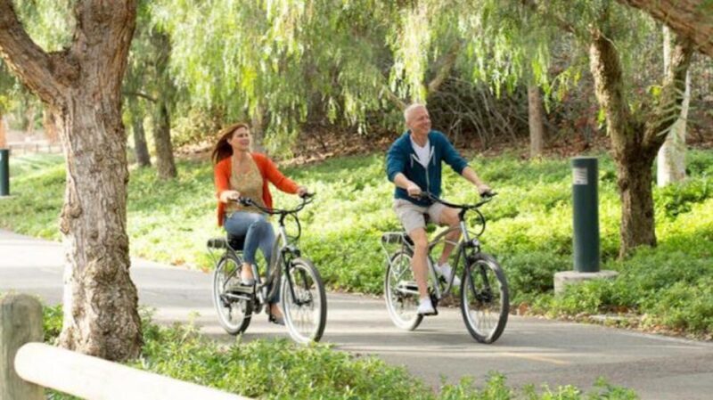 Electric Bike Rentals Leesburg, VA: Full Day or Half Day - Why Choose an Electric Bike Rental in Leesburg?