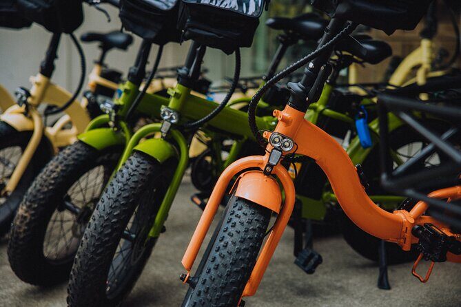 Electric Bike Rentals Waikiki: Honolulu E- Bike Rentals - Exploring Waikiki and Beyond on E-Bikes