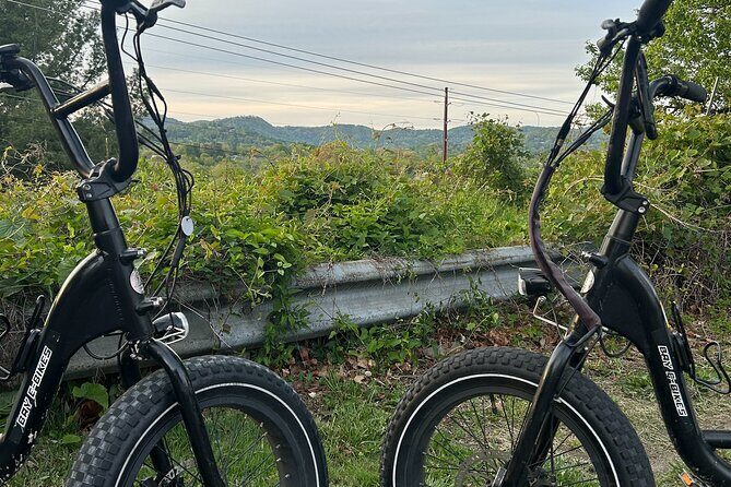 Electric Bike Rentals with Free E-Bike Delivery - Key Points