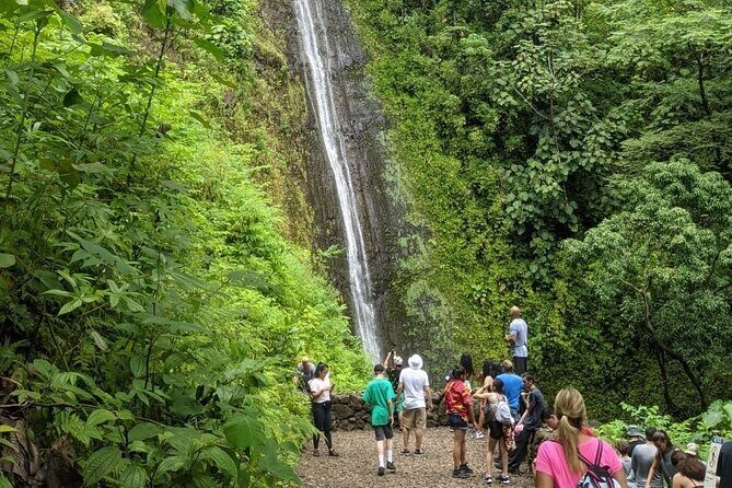 Electric Bike Ride & Manoa Falls Hike Tour - Riding Through University of Hawaii Manoa & Local Gems