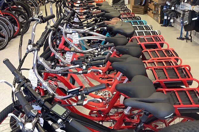 Electric Bikes Rental in Dunedin - Why Rent an Electric Bike in Dunedin?