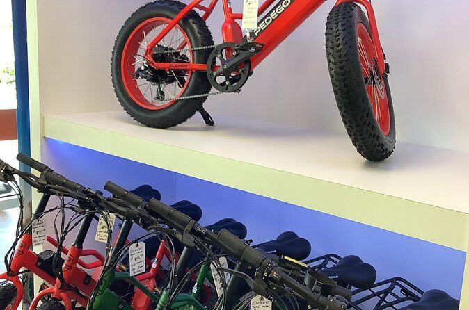 Electric Bikes Rental in Dunedin - The Itinerary and Experience Breakdown