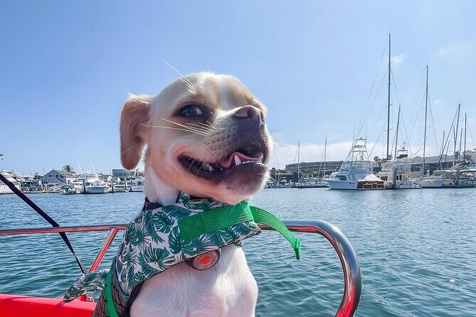 Electric boat Rentals in San Diego Bay. Family friendly boating - Exploring the Route and Its Highlights